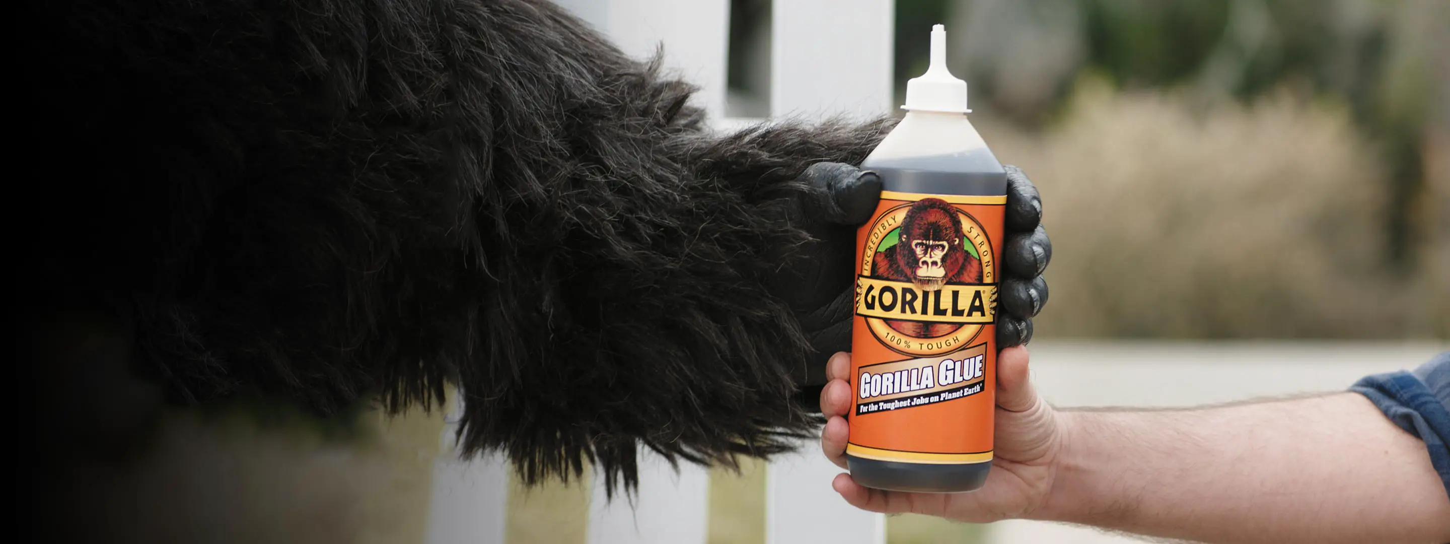 How Long Has Gorilla Glue Been Around