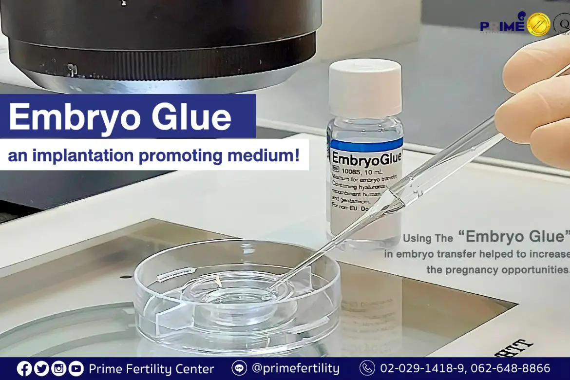 How Much Is Embryo Glue